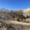 Photo of Mobile Home Lot