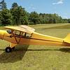 Aircraft for Sale: Piper Super Cub PA-18-105 Special