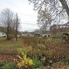 Mobile Home for Sale: Mobile Home