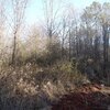 Photo of Mobile Home Lot