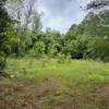 Mobile Home Lot for Sale: Nice 4.86 Acre Parcel of Land in Richland County! Prior Mobile Home Lot!, Eastover, SC