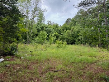 Photo of Nice 4.86 Acre Parcel of Land in Richland County! Prior Mobile Home Lot!