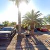 Mobile Home for Sale: 2 Bed 1984 Mobile Home