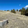 Photo of Mobile Home Lot