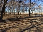 Photo of Mobile Home Lot