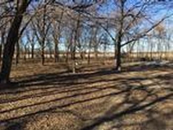Photo of Mobile Home Lot