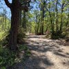 Mobile Home for Sale: Manufactured On Land - Barnwell, SC, Barnwell, SC