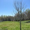 Mobile Home for Sale: Manufactured w/Acreage - Hilham, TN, Hilham, TN