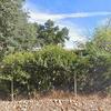 Mobile Home for Sale: 3 Bed 2 Bath 1977 Mobile Home