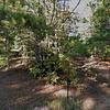 Mobile Home for Sale: 3 Bed 2 Bath 2001 Mobile Home