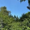 Mobile Home Lot for Sale: Acreage,Residential Lot-Unrestricted,Single Wide Permitted,Double Wide Permitted,Modular On Frame Permitted,Modular Off Frame Permitted, Murfreesboro, NC