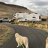 RV for Sale: 2024 DURANGO GOLD G358RPQ
