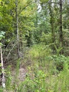 Photo of Mobile Home Lot