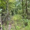 Photo of Mobile Home Lot