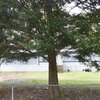 Mobile Home for Sale: Manufactured On Land, Traditional - Apex, NC, Apex, NC
