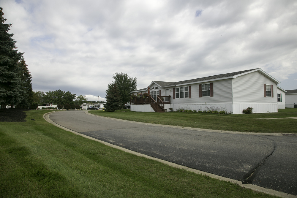 Community Image