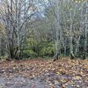 Mobile Home for Sale: Manufactured Home,Triple Wide Manufactured - Manufactured Home on Real Property, Scappoose, OR