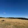 Photo of Mobile Home Lot