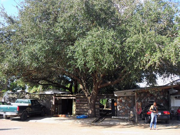 Photo of Mobile Home Park
