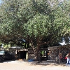 Photo of Mobile Home Park