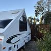 RV for Sale: 2013 ROCKWOOD PREMIER 122BH