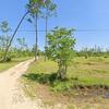Mobile Home for Sale: 3 Bed 2 Bath 1997 Mobile Home