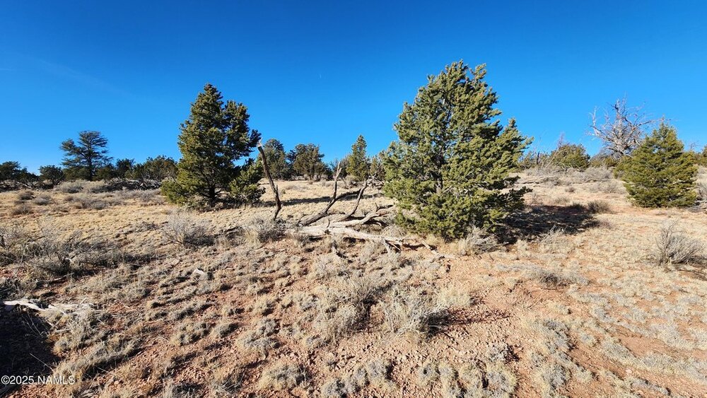Photo of Mobile Home Lot
