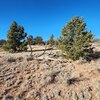 Photo of Mobile Home Lot