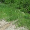 Photo of Mobile Home Lot