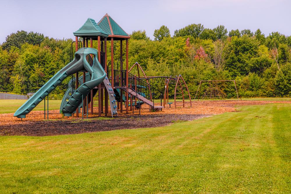 Community Image