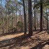 Mobile Home for Sale: Ranch,Mobile Home,Contemporary,Cottage,Residential - Ranch,Mobile Home,Contemporary,Cottage, Orangeburg, SC