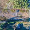 Photo of Mobile Home Lot