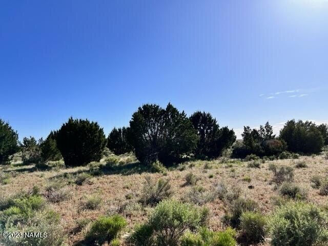 Photo of Mobile Home Lot
