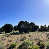 Photo of Mobile Home Lot