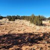 Photo of Mobile Home Lot