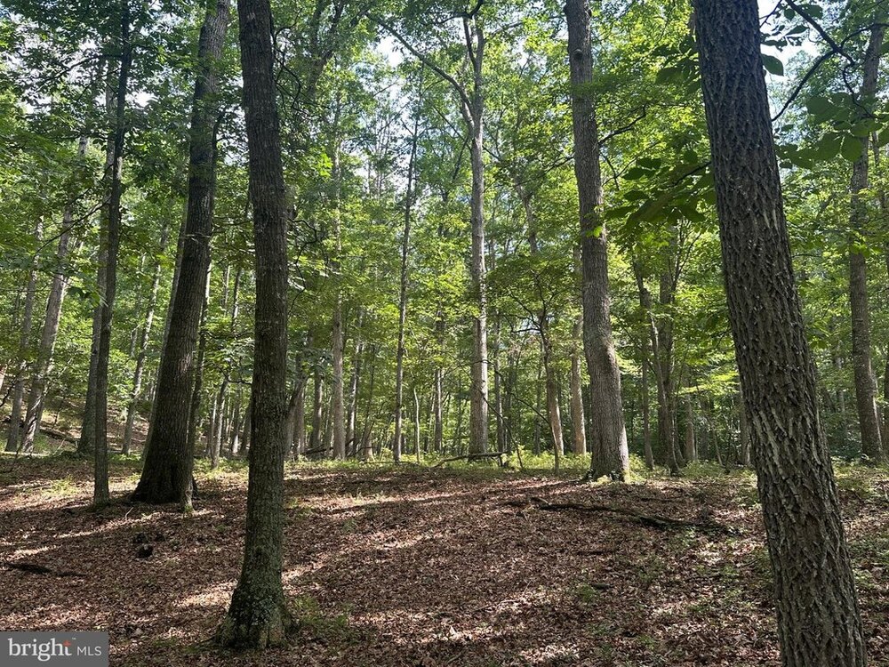 Photo of Mobile Home Lot