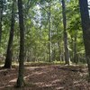 Photo of Mobile Home Lot