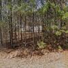 Mobile Home for Sale: 3 Bed 2 Bath 1999 Mobile Home
