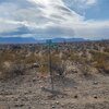 Photo of Mobile Home Lot