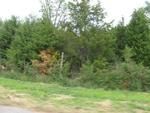 Photo of Mobile Home Lot