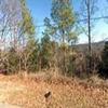 Mobile Home Lot for Sale: TN, DECATUR - Land for sale., Decatur, TN