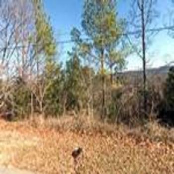 Photo of Mobile Home Lot