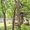 Mobile Home for Sale: 3 Bed 2 Bath Mobile Home