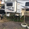 RV for Sale: 2014 855S TRUCK CAMPER