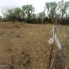 Photo of Mobile Home Lot