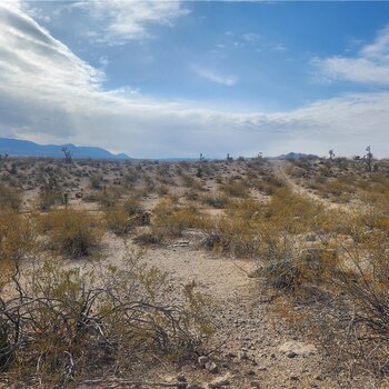 Thumbnail of mobile home lot