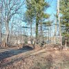 Photo of Mobile Home Lot