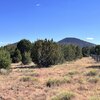 Mobile Home Lot for Sale: Residential/Mobile - Williams, AZ, Williams, AZ