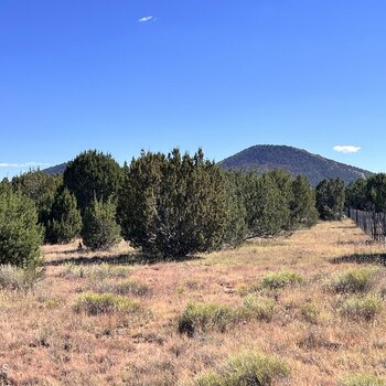 Photo of Mobile Home Lot