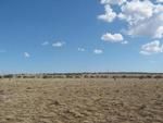 Photo of Mobile Home Lot
